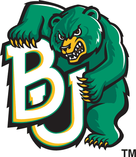 Baylor Bears 1997-2004 Alternate Logo diy fabric transfer
